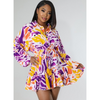 Priscilla Multi Color Dress